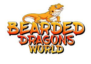 bestbeardeddragonenclosure.com